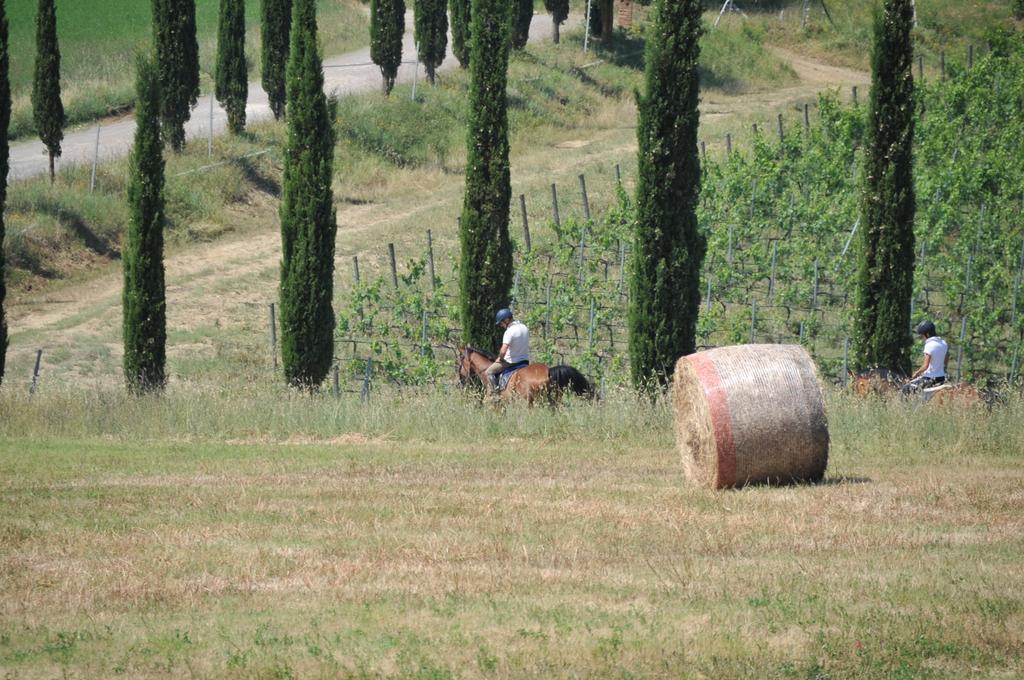 Tenuta Casabianca Мурло Екстериор снимка