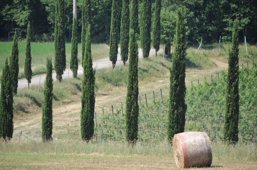 Tenuta Casabianca Мурло Екстериор снимка